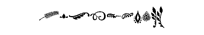 Nelson Ornaments Font OTHER CHARS