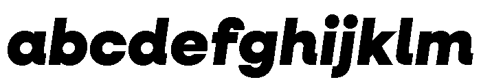 Neulis Neue Black Italic FONT