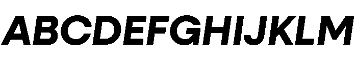 Neulis Neue Bold Italic Font UPPERCASE