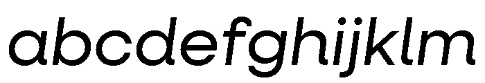 Neulis Neue Regular Italic FONT