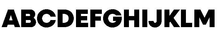 Neulis Sans Black Font UPPERCASE