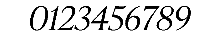 Nicholas Light Italic Font OTHER CHARS