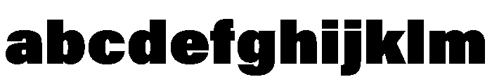 Nickel Gothic Variable Heavy FONT