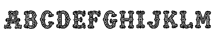 Nicomache Regular Font UPPERCASE