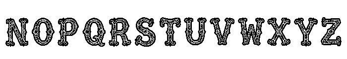 Nicomache Regular Font UPPERCASE