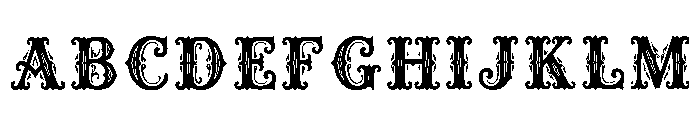 Night Regular FONT