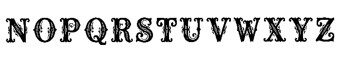 Night Regular Font LOWERCASE