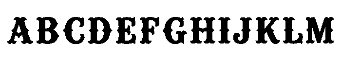 Nitin Regular FONT