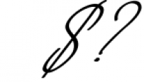 NicoleWhite Signature Font -Big Update - 9 Font OTHER CHARS