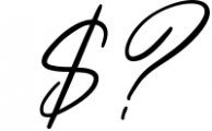Nishyad Signature Script Font Font OTHER CHARS