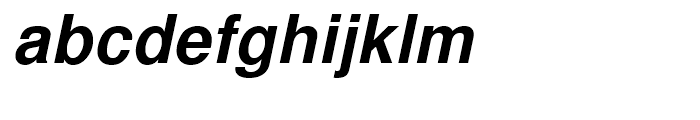 Nimbus Sans L Bold Italic Font LOWERCASE