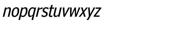 Nina Italic Font LOWERCASE