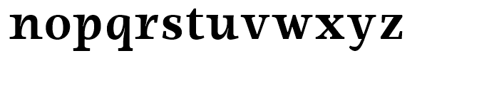 Ninfa Serif Bold Font LOWERCASE