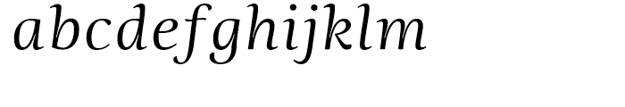 Ninfa Serif Book Italic Font LOWERCASE