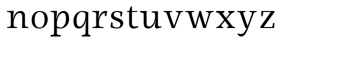 Ninfa Serif Book Font LOWERCASE