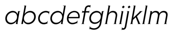 Niveau Serif Light Italic Font LOWERCASE