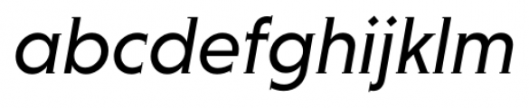 Niveau Serif Regular Italic Font LOWERCASE