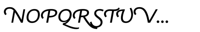 Ni Sans Swashes Book Font UPPERCASE