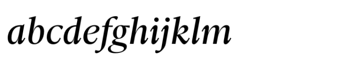 Ni Serif Book Italic Font LOWERCASE