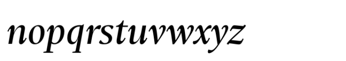 Ni Serif Book Italic Font LOWERCASE