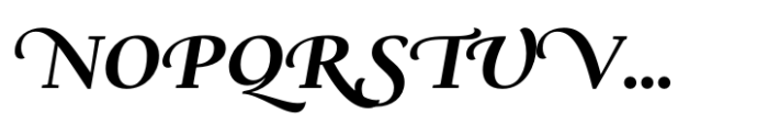 Ni Serif Swashes Bold Font UPPERCASE