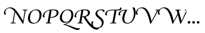 Ni Serif Swashes Book Font UPPERCASE