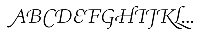 Ni Serif Swashes Light Font UPPERCASE
