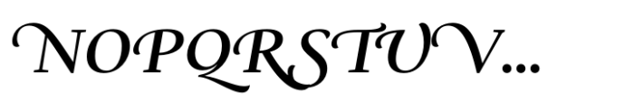 Ni Serif Swashes Medium Font UPPERCASE