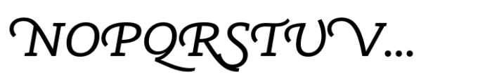 Ni Slab Swashes Book Font UPPERCASE