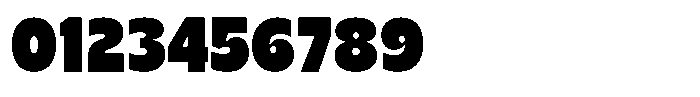 Nicka Upright Font OTHER CHARS