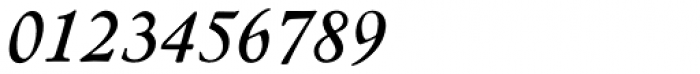 Nicolas Jenson SG Bold Italic Font OTHER CHARS