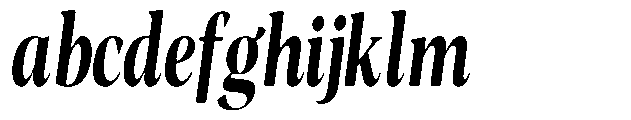 Night Queen Soft Condensed Italic FONT
