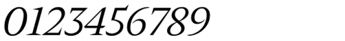 Nikola Regular Italic Font OTHER CHARS