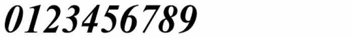 Nimbus Roman D Bold Italic Font OTHER CHARS