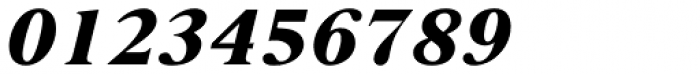 Nimbus Roman D ExtraBold Italic Font OTHER CHARS