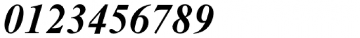 Nimbus Roman No 9 Bold Italic Font OTHER CHARS