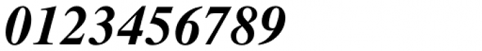 Nimbus Roman No 9 L Medium Italic Font OTHER CHARS