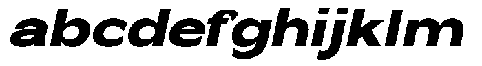 Nira Nara Black Semi Expanded Slanted FONT