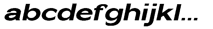 Nira Nara Bold Expanded Slanted FONT