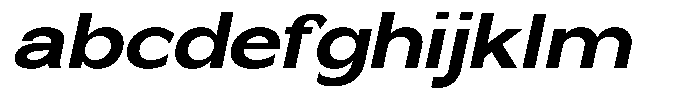 Nira Nara Bold Semi Expanded Slanted FONT