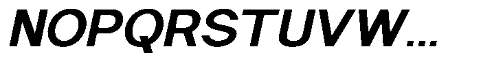 Nira Nara Bold Slanted Font UPPERCASE