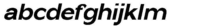 Nira Nara Bold Slanted FONT