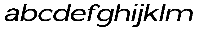 Nira Nara Expanded Slanted FONT