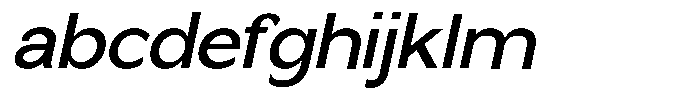 Nira Nara Medium Slanted FONT