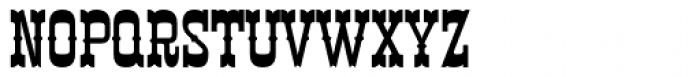 Nisswa Fancy Font LOWERCASE