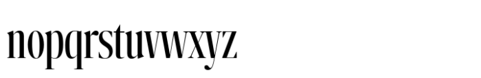 Nitida Big Condensed Book Font LOWERCASE