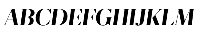 Nitida Big Extra Bold Italic Font
