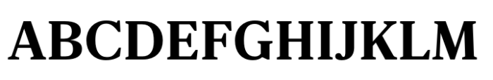 Nitida Text Plus Extra Bold Font