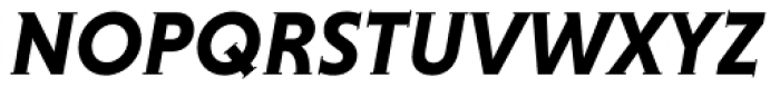 Niveau Serif Bold Italic Font UPPERCASE