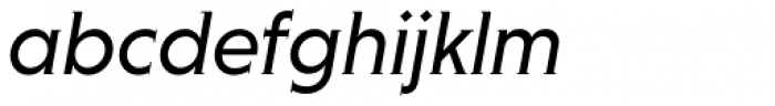 Niveau Serif Italic Font LOWERCASE